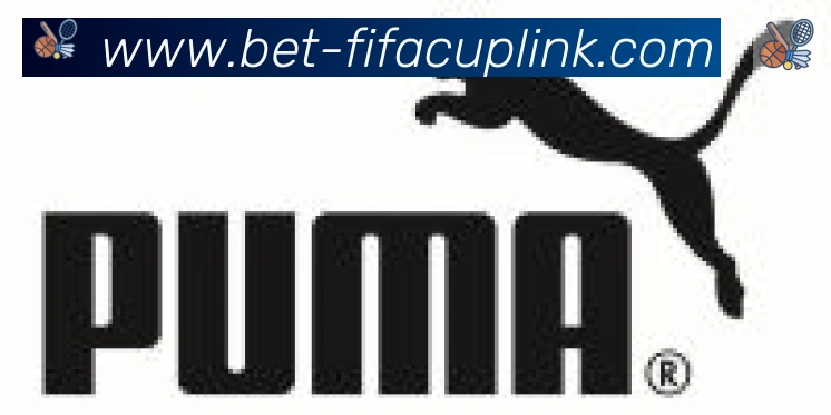 FIFA世界杯投注入口合作伙伴
