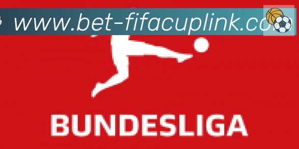 FIFA世界杯投注入口合作伙伴